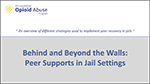 Thumbnail for Behind and Beyond the Walls: Peer Supports in Jail Settings