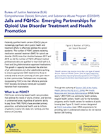 Thumbnail for Jails and FQHCs: Emerging Partnerships for Opioid Use Disorder Treatment and Health Promotion