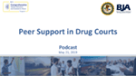 Thumbnail for Peer Support in Drug Courts